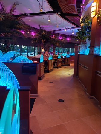 rgbw lighting hotels